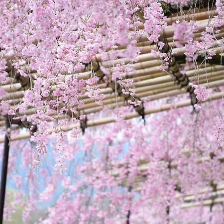 京都吉克宽旅馆别墅 外观 照片
