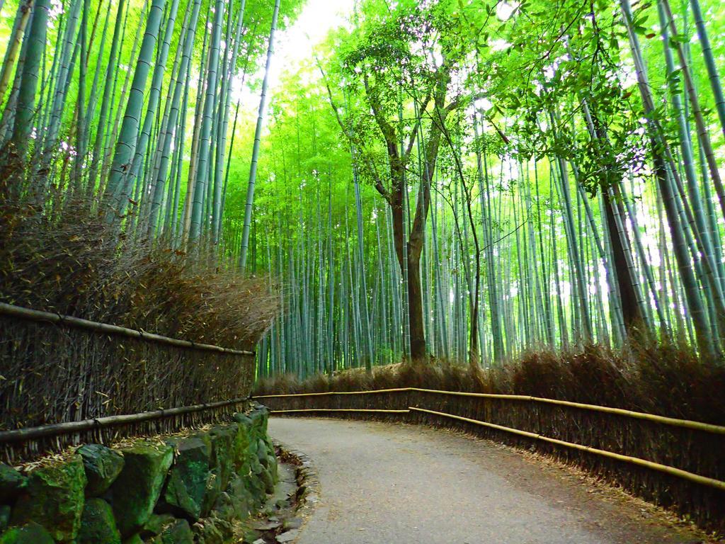 京都吉克宽旅馆别墅 外观 照片