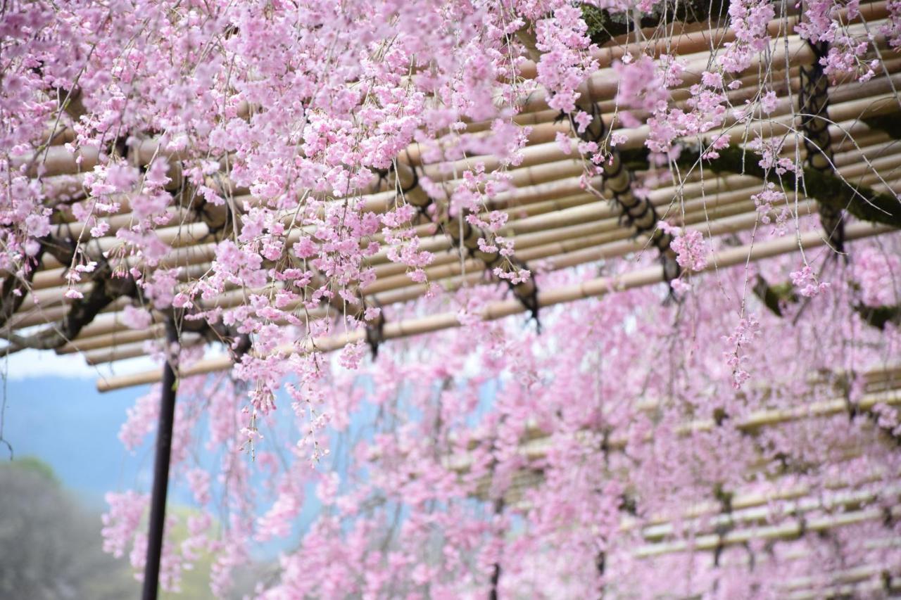 京都吉克宽旅馆别墅 外观 照片